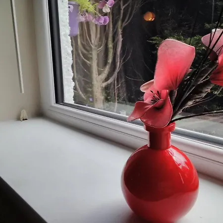 Windermere Studio Rooms - With Free Car Parking Onsite Konukevi